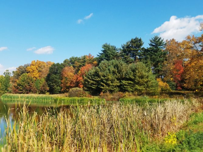 Loantaka Brook Reservation 