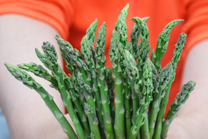 Springtime Asparagus 