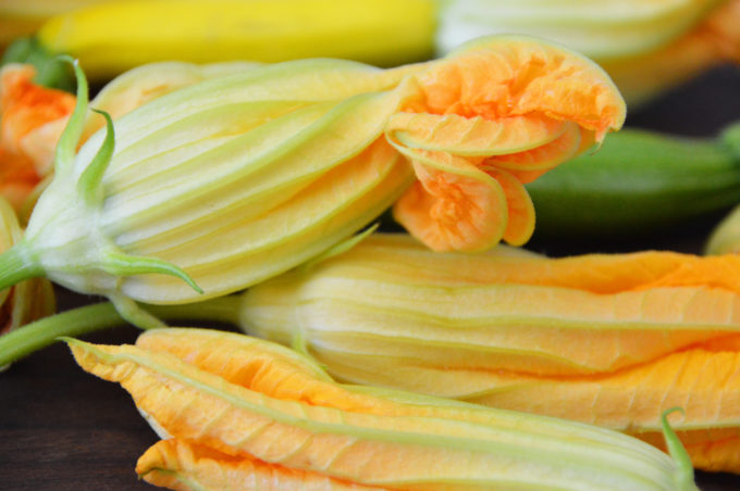 Freshly picked zucchini flowers.