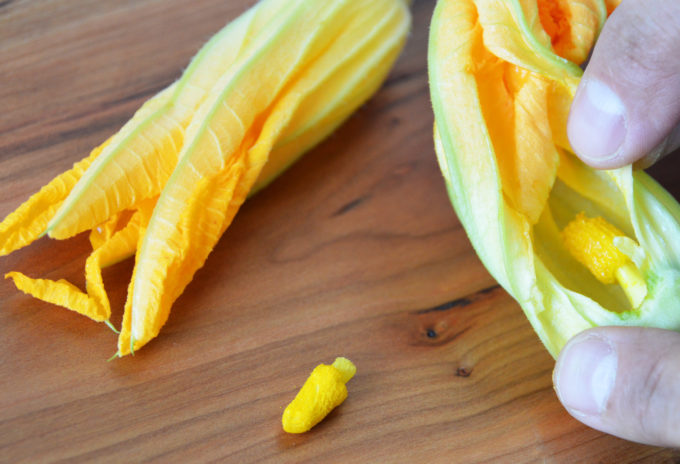 Using a scissor carefully clip the stamen or pistil 