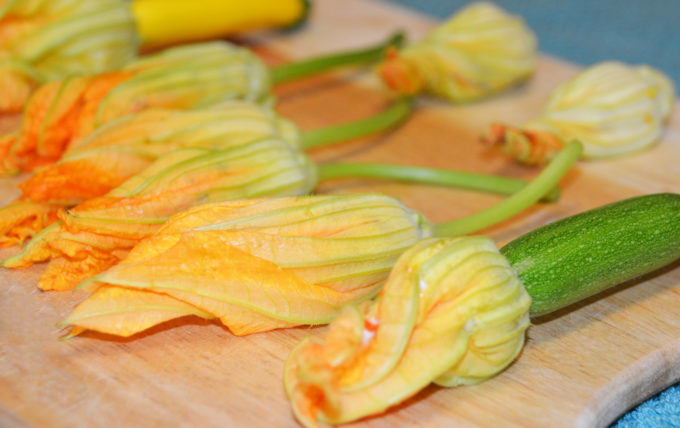 Assorted zucchini flowers. 