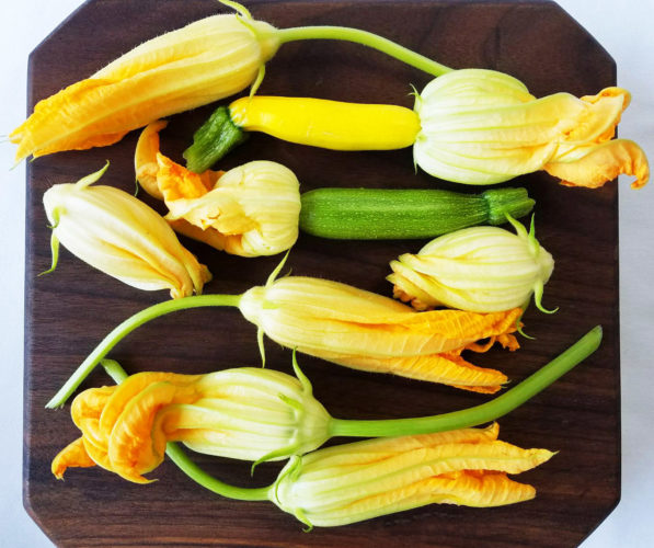 Assorted zucchini flowers. 