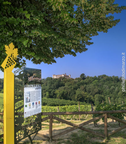 The vineyards surrounding the Castle of Coatiglioli d'Asti