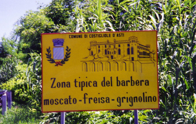 Barbera wine zone in Coatiglioli d'Asti 