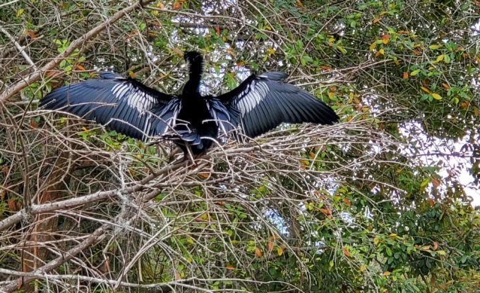 Lake Lily Park | Orlando, Florida 