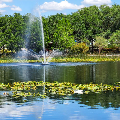 Lake Lily Park | Orlando, Florida 